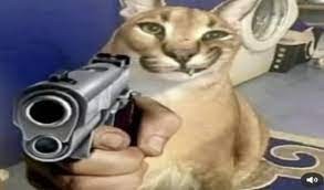 Создать мем: шелёпа кот, кот с автоматом, кот с пистолетом мем