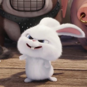 Create meme: white rabbit, the secret life of Pets, rabbit snowball