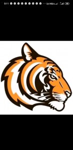 Create meme: tiger logo vector, logo tiger, the emblem of the tiger