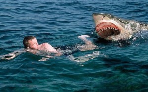 Создать мем: акула кусает человека, акула нападает на человека, акула напала на человека
