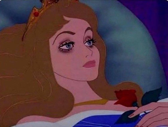 Create meme: sleeping beauty , sleeping beauty princess, disney princesses