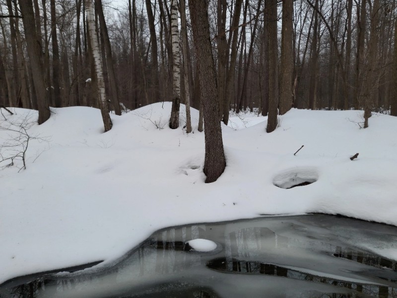 Create meme: serebryanka river, the building , snowy March in the forest