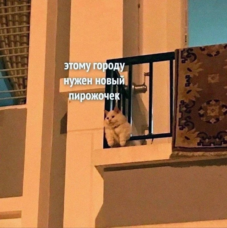 Создать мем: котик, юмор коты, на балконе