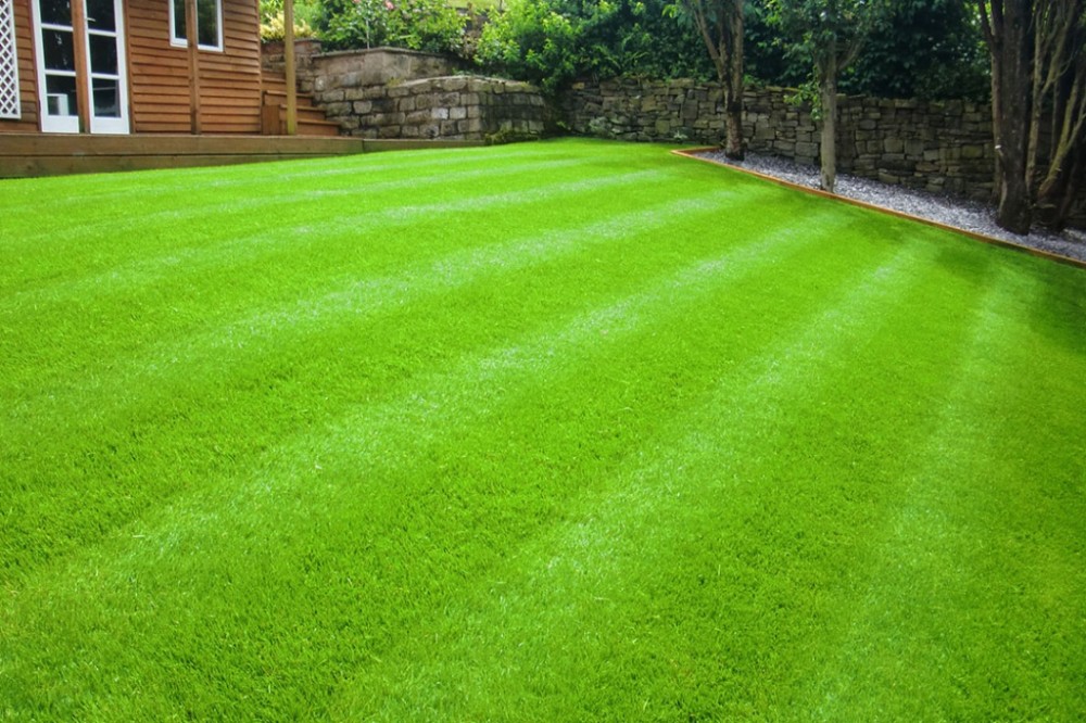 Create meme: a beautiful lawn, lawn grass, grass for the lawn