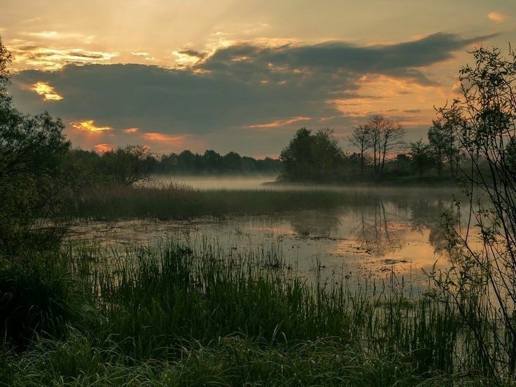 Create meme: landscape , morning river, dawn on the river