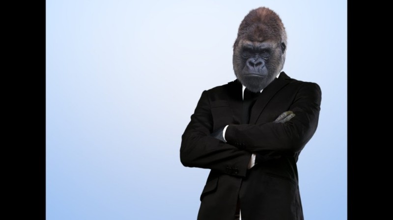 Создать мем: обезьяна в деловом костюме, горилла в костюме, обезьяна в костюме