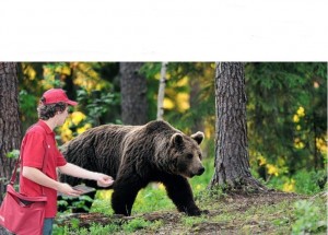 Создать мем: медведь в лесу, бурый медведь хозяин тайги, бурый медведь