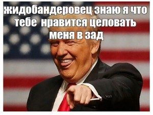 Создать мем: мем трамп, цитаты трампа, трамп смешной