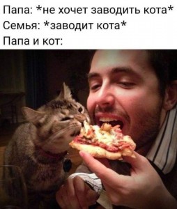 Create meme: hungry cat, the cat and the pizza meme