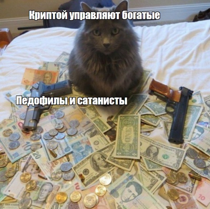 Создать мем: котик с деньгами мем, кот гангстер, коты бандиты