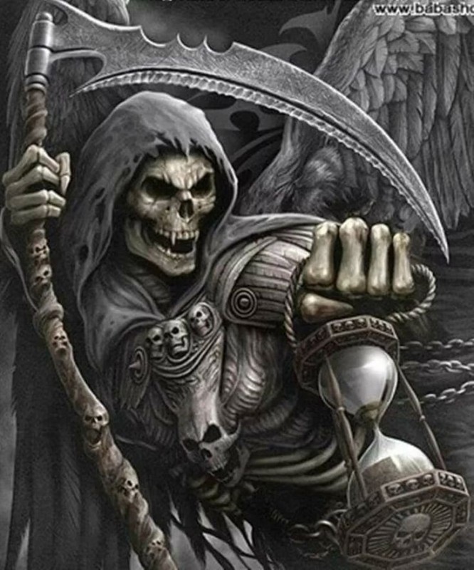Create meme: the grim Reaper , skull of death, skeleton death