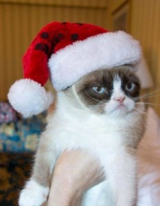 Создать мем: мемы грампи кэт рождество, grumpy cat, grumpy cat merry christmas