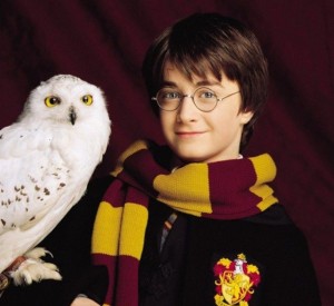 Create meme: Daniel Radcliffe Harry Potter, Harry Potter