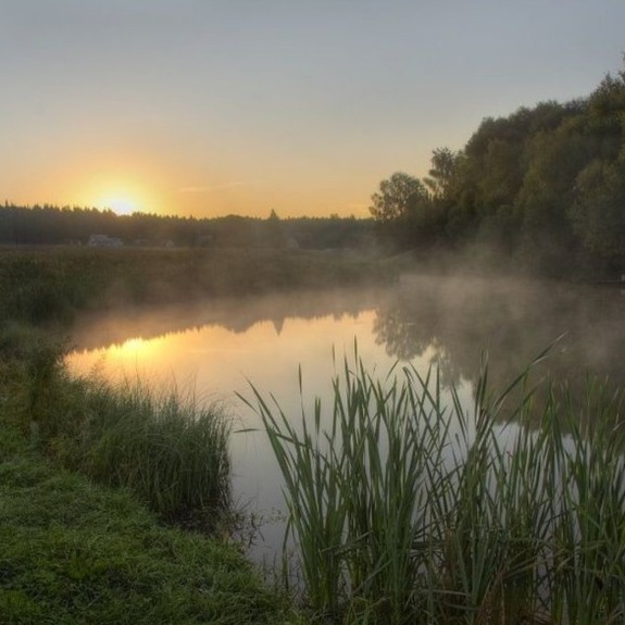 Create meme: summer dawn over the river, early morning on the river, morning on the river
