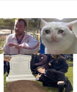 Создать мем: мемы, кошка, кот плачет мем