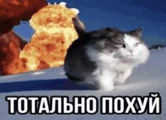 Создать мем: кот, кот взрывается, кот на фоне взрыва мем