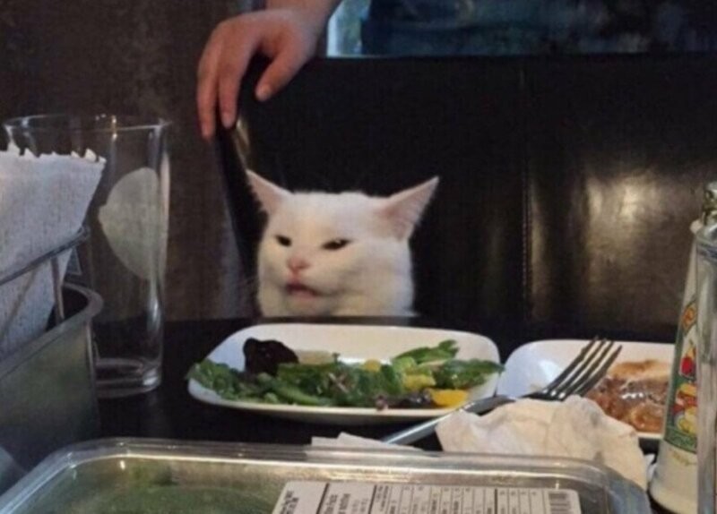 Create meme: the meme with the cat at the table, cats from memes, cat with vegetables meme