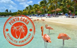 Создать мем: багамы фламинго, кайо коко куба фламинго, доминикана пунта кана фламинго