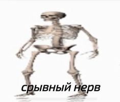 Создать мем: человек, скелет анимация, human skeleton