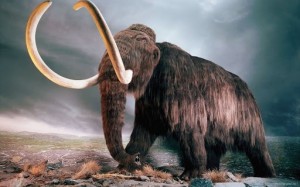 Create meme: the dwarf mammoth, mammoth, mammoth Wallpaper