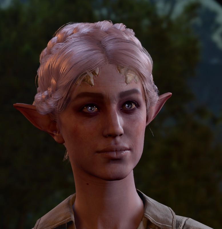 Create meme: dragon age inquisition elves, dragon age inquisition sliders elf, when will season 3 of the Witcher be released
