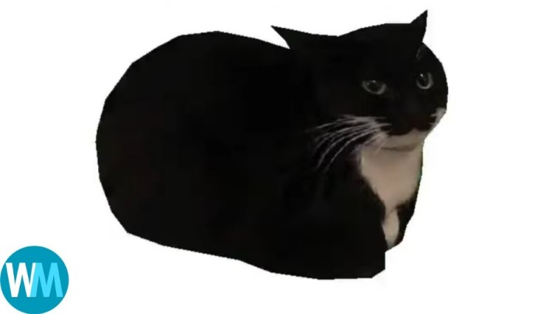Create meme: cat , Mammy cat, black cat 