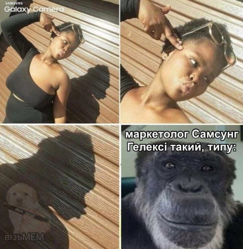 Create meme: monkeys meme, fun , memes 