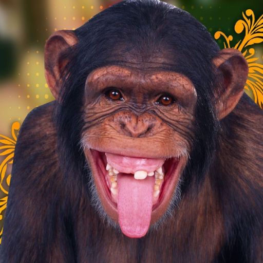 Создать мем: веселая обезьяна, смешные морды обезьян, смешные обезьяны