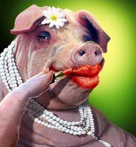 Create meme: the painted pig, funny pigs, funny pigs