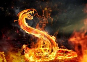 Create meme: fire c, fire snake picture, dragon on a background of fire