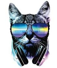 Create meme: cool cat , cat in headphones art, cat DJ 