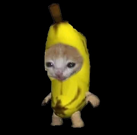 Create meme: a cat in a banana costume, cat in a banana costume original, the cat in the banana