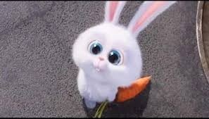 Create meme: the secret life of pets hare snowball, fluffy bunny from the cartoon, Snowball Rabbit The secret life of pets 1