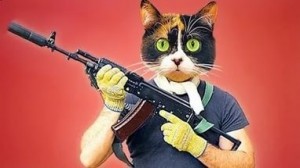 Create meme: cats, cookies shoot from AK 47, cat