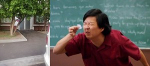 Create meme: Chinese squints meme, Chinese man squints at a piece of paper, the Chinese man looks at a piece of paper