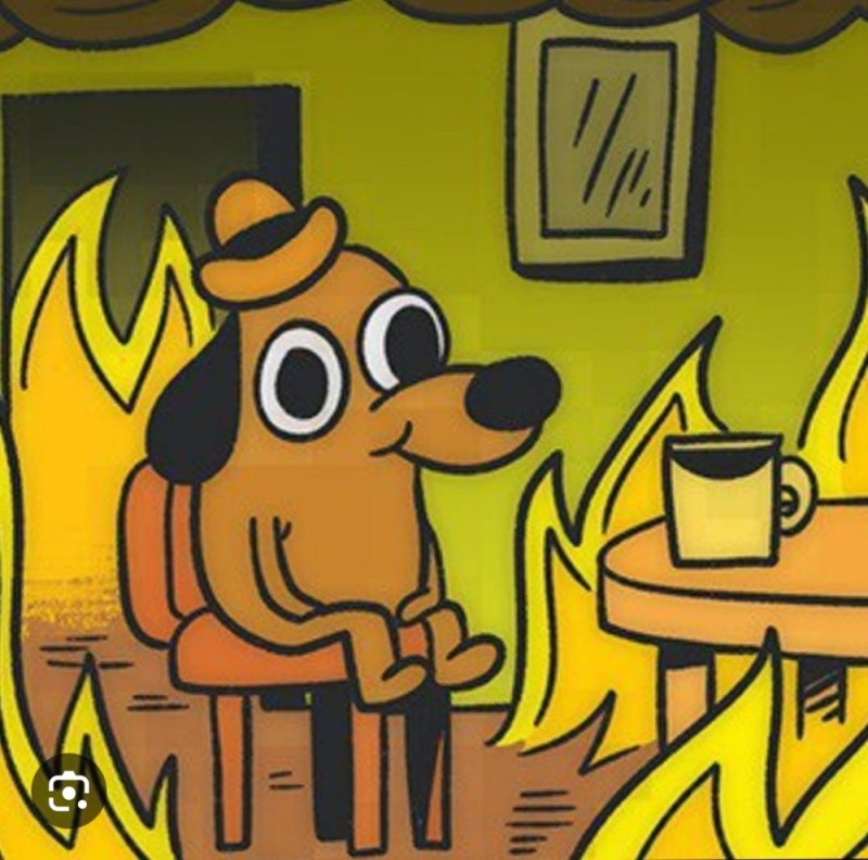 Создать мем: мем собака в горящем доме, мем собака в огне, собачка в горящем доме мем