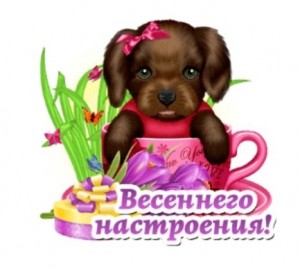 Create meme: puppies, cards, puppy with rose on white background