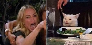 Создать мем: женщина кричит на кота мем, мем орущая баба и кот, woman yelling at cat meme