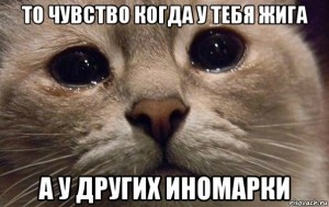 Create meme: somewhere in the world one sad kitty, does this mean cat meme, does this mean the cat risovac