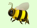 Create meme: bee bumblebee wasp, bee bumblebee, bee bumblebee wasp hornet