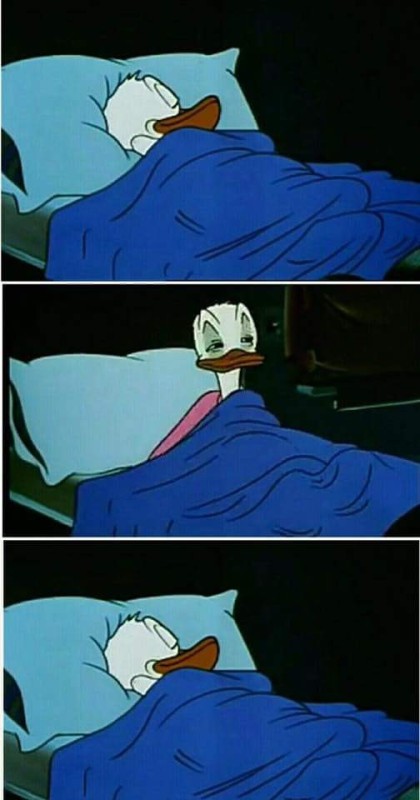 Create meme: Donald duck meme, The sleepless Donald Duck, the sleepy meme