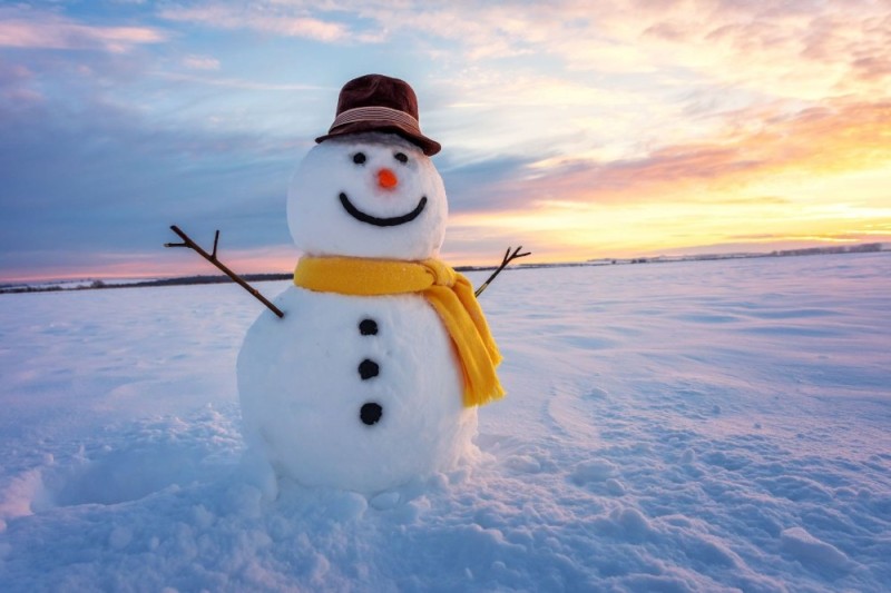 Create meme: unusual snowmen, cool snowman, Winter snowman