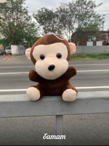 Create meme: soft toy monkey, toy