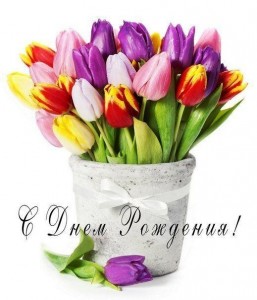Создать мем: с 8 марта тюльпаны, цветы тюльпаны, тюльпаны открытка