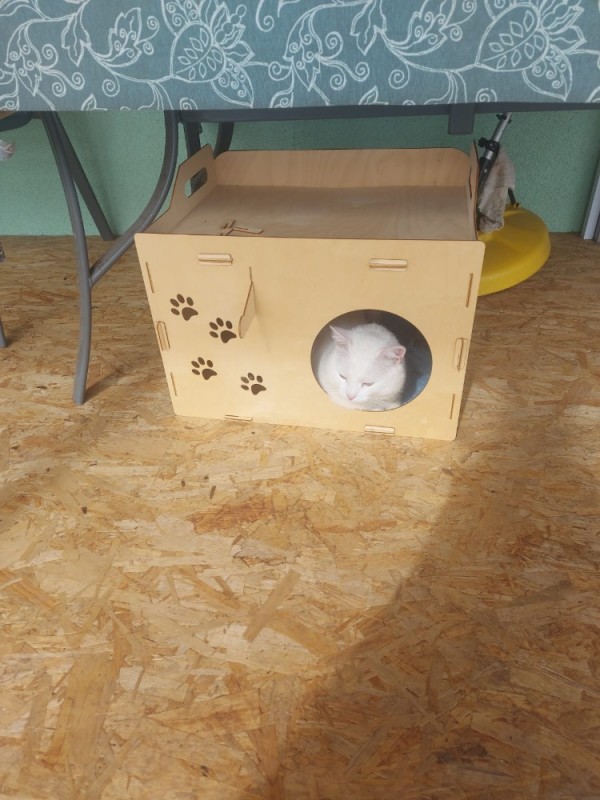 Create meme: cardboard house for a cat, plywood house for a cat, a cat house made of boxes