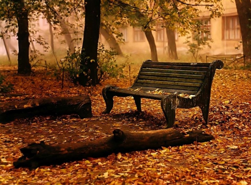 Создать мем: теплая осень, осень дождливая, осенний сад скамейка