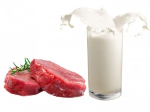 Create meme: a glass of milk. png, fresh milk APG, red meat on white background