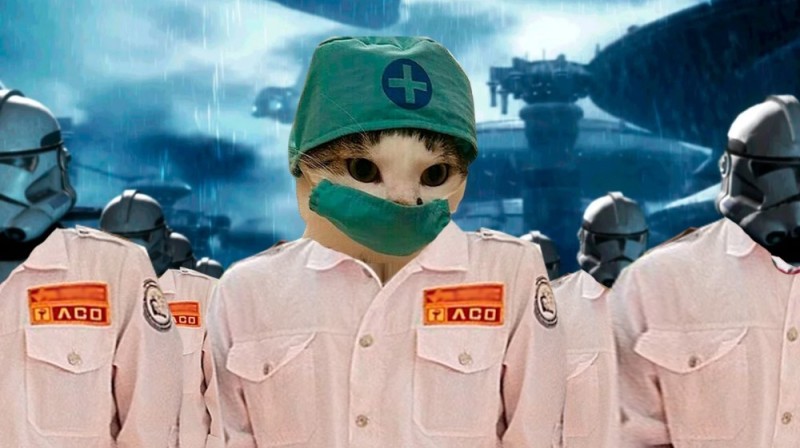 Create meme: a cat in a medical mask, a medic cat in a mask, the cat in the mask