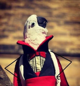 Создать мем: венецианский карнавал маска доктор чумы, маска голубя, птица