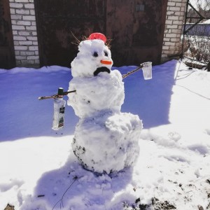 Создать мем: снеговик, снеговик смешной, снеговик зимой